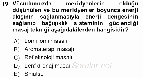 Termal ve Spa Hizmetleri 2015 - 2016 Tek Ders Sınavı 19.Soru