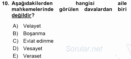 Sosyal Hizmet Kuruluşları 2016 - 2017 Ara Sınavı 10.Soru