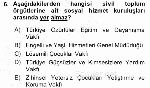 Sosyal Hizmet Kuruluşları 2016 - 2017 Ara Sınavı 6.Soru