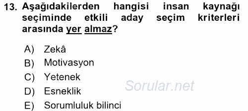 İnsan Kaynakları Yönetimi 2015 - 2016 Ara Sınavı 13.Soru
