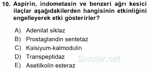 Temel Veteriner Farmakoloji ve Toksikoloji 2017 - 2018 Ara Sınavı 10.Soru