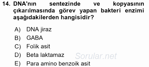 Temel Veteriner Farmakoloji ve Toksikoloji 2017 - 2018 Ara Sınavı 14.Soru