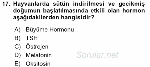 Temel Veteriner Farmakoloji ve Toksikoloji 2017 - 2018 Ara Sınavı 17.Soru