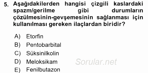 Temel Veteriner Farmakoloji ve Toksikoloji 2017 - 2018 Ara Sınavı 5.Soru