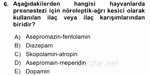 Temel Veteriner Farmakoloji ve Toksikoloji 2017 - 2018 Ara Sınavı 6.Soru