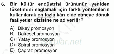 Medya Ekonomisi ve İşletmeciliği 2012 - 2013 Ara Sınavı 6.Soru