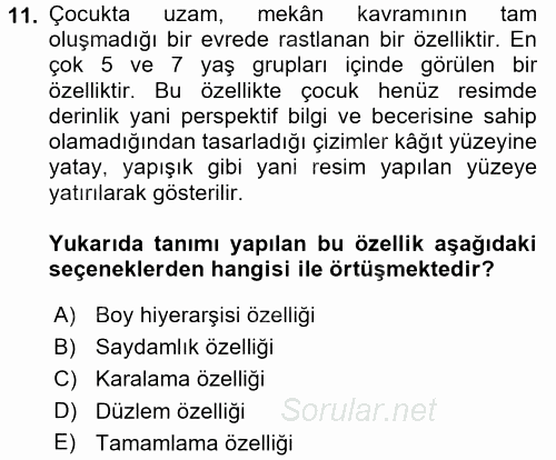 Çocukta Sanat Eğitimi Ve Yaratıcılık 2017 - 2018 Ara Sınavı 11.Soru