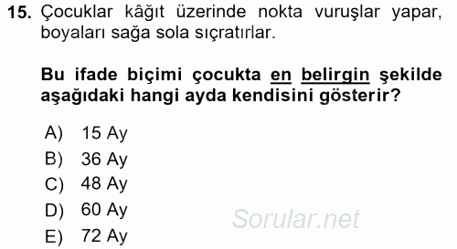 Çocukta Sanat Eğitimi Ve Yaratıcılık 2017 - 2018 Ara Sınavı 15.Soru