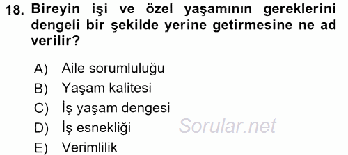 Yeni Teknolojiler ve Çalışma Hayatı 2017 - 2018 Ara Sınavı 18.Soru