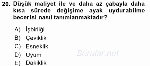 Yeni Teknolojiler ve Çalışma Hayatı 2017 - 2018 Ara Sınavı 20.Soru