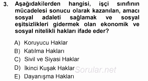 İnsan Hakları ve Demokratikleşme Süreci 2012 - 2013 Dönem Sonu Sınavı 3.Soru
