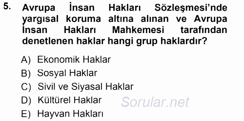 İnsan Hakları ve Demokratikleşme Süreci 2012 - 2013 Dönem Sonu Sınavı 5.Soru