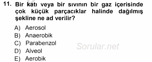 Çevre Sorunları ve Politikaları 2012 - 2013 Ara Sınavı 11.Soru