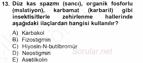 Temel Veteriner Farmakoloji ve Toksikoloji 2012 - 2013 Ara Sınavı 13.Soru