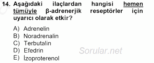 Temel Veteriner Farmakoloji ve Toksikoloji 2012 - 2013 Ara Sınavı 14.Soru