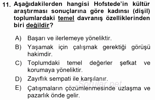 Türkiye´nin Toplumsal Yapısı 2015 - 2016 Tek Ders Sınavı 11.Soru