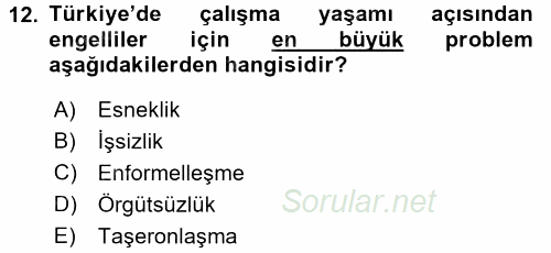 Türkiye´nin Toplumsal Yapısı 2015 - 2016 Tek Ders Sınavı 12.Soru