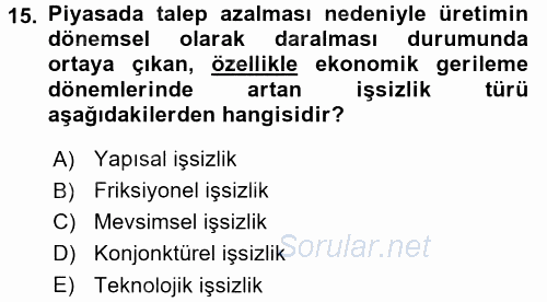 Türkiye´nin Toplumsal Yapısı 2015 - 2016 Tek Ders Sınavı 15.Soru