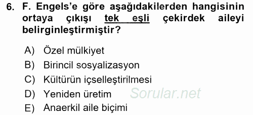 Türkiye´nin Toplumsal Yapısı 2015 - 2016 Tek Ders Sınavı 6.Soru
