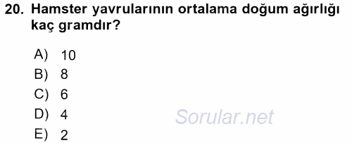 Laboratuvar Hayvanlarını Yetiştirme ve Sağlığı 2015 - 2016 Tek Ders Sınavı 20.Soru