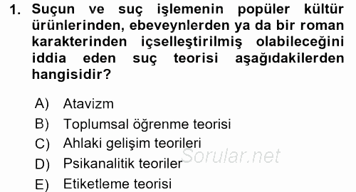 Suç Önleme Modelleri 2017 - 2018 Ara Sınavı 1.Soru