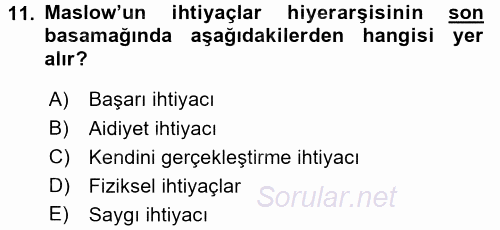 Suç Önleme Modelleri 2017 - 2018 Ara Sınavı 11.Soru