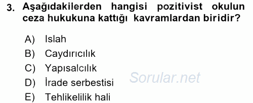 Suç Önleme Modelleri 2017 - 2018 Ara Sınavı 3.Soru