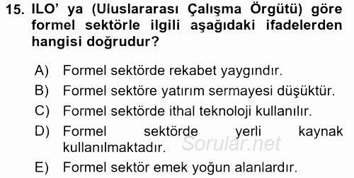 Ekonomi Sosyolojisi 2017 - 2018 Ara Sınavı 15.Soru