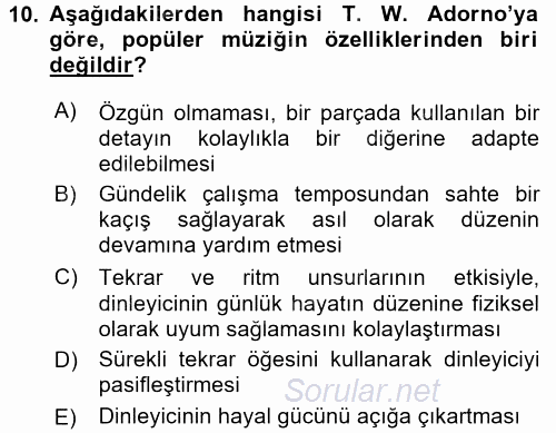 Kültür Sosyolojisi 2017 - 2018 Dönem Sonu Sınavı 10.Soru