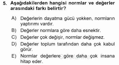 Kültür Sosyolojisi 2017 - 2018 Dönem Sonu Sınavı 5.Soru