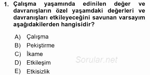 Çalışma Psikolojisi 2015 - 2016 Tek Ders Sınavı 1.Soru
