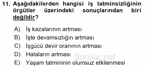 Çalışma Psikolojisi 2015 - 2016 Tek Ders Sınavı 11.Soru