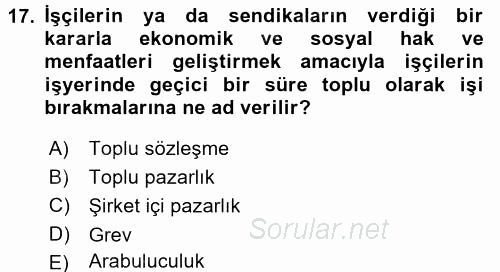 Çalışma Psikolojisi 2015 - 2016 Tek Ders Sınavı 17.Soru