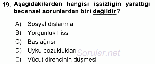 Çalışma Psikolojisi 2015 - 2016 Tek Ders Sınavı 19.Soru