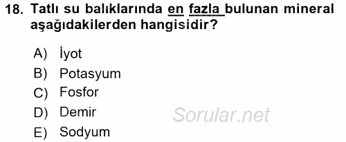 Temel Mutfak Teknikleri 2016 - 2017 Ara Sınavı 18.Soru