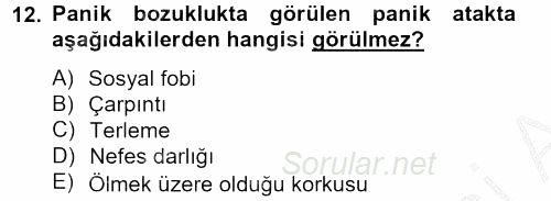 Aile Psikolojisi ve Eğitimi 2012 - 2013 Dönem Sonu Sınavı 12.Soru