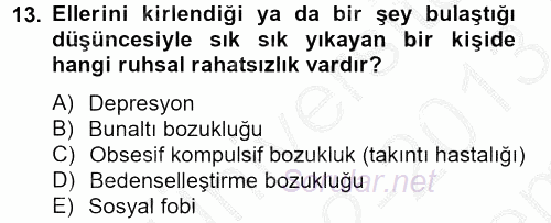 Aile Psikolojisi ve Eğitimi 2012 - 2013 Dönem Sonu Sınavı 13.Soru
