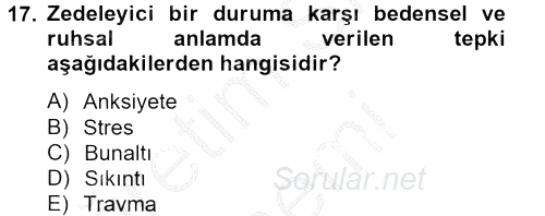 Aile Psikolojisi ve Eğitimi 2012 - 2013 Dönem Sonu Sınavı 17.Soru