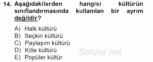 Medya Siyaset Kültür 2013 - 2014 Tek Ders Sınavı 14.Soru