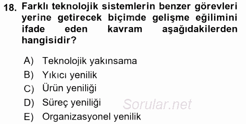 Temel Bilgi Teknolojileri 2 2016 - 2017 Dönem Sonu Sınavı 18.Soru