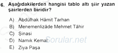 Tanzimat Dönemi Türk Edebiyatı 1 2015 - 2016 Dönem Sonu Sınavı 6.Soru
