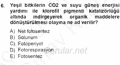 Ekoloji ve Çevre Bilgisi 2012 - 2013 Ara Sınavı 6.Soru