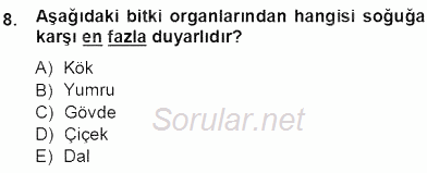 Ekoloji ve Çevre Bilgisi 2012 - 2013 Ara Sınavı 8.Soru