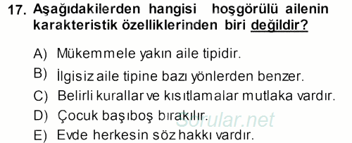 Aile İçi Uyumlu Etkileşim 2013 - 2014 Ara Sınavı 17.Soru