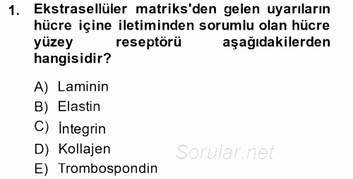Hücre Kimyası 2014 - 2015 Tek Ders Sınavı 1.Soru
