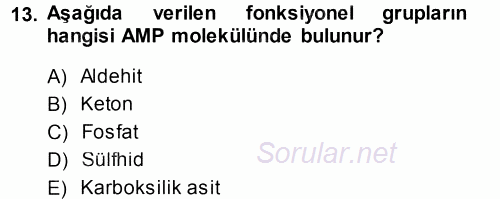 Hücre Kimyası 2014 - 2015 Tek Ders Sınavı 13.Soru