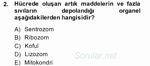 Hücre Kimyası 2014 - 2015 Tek Ders Sınavı 2.Soru