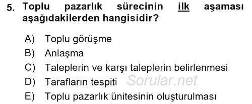 Endüstri İlişkileri 2016 - 2017 Dönem Sonu Sınavı 5.Soru