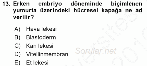 Temel Zootekni 2015 - 2016 Dönem Sonu Sınavı 13.Soru