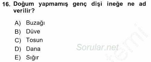 Temel Zootekni 2015 - 2016 Dönem Sonu Sınavı 16.Soru